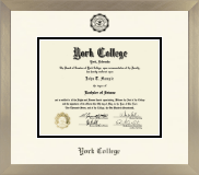 York College of Nebraska diploma frame - Icon in Light Champagne