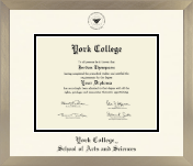 York College in New York diploma frame - Icon in Light Champagne