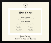 York College in New York diploma frame - Icon in Gotham