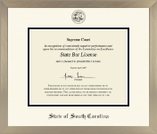 State of South Carolina diploma frame - Icon in Light Champagne