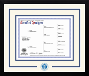 American Kennel Club diploma frame - Dimensions Spirit in Gotham