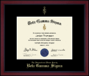 Beta Gamma Sigma Honor Society Gold Embossed Achievement Edition Certificate Frame in Academy