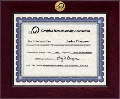 Certified Horsemanship Association certificate frame - Century Gold Engraved Certificate Frame in Cordova