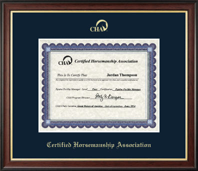 Certified Horsemanship Association certificate frame - Gold Embossed Certificate Frame in Studio Gold