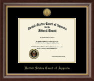 The United States Court of Appeals certificate frame - Gold Engraved Medallion Certificate Frame in Hampshire