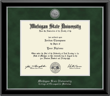 Michigan State University diploma frame - Silver Engraved Medallion Diploma Frame in Onyx Silver