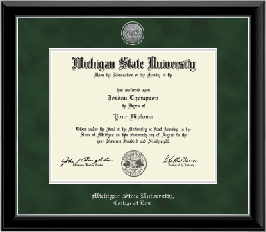 Michigan State University diploma frame - Silver Engraved Medallion Diploma Frame in Onyx Silver