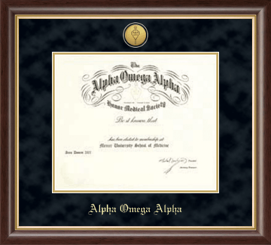 Alpha Omega Alpha Honor Society certificate frame - Deluxe Suede Medallion Frame in Hampshire