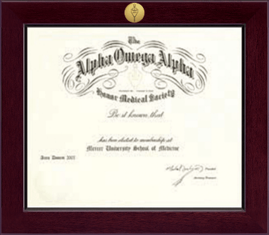 Alpha Omega Alpha Honor Society certificate frame - Medallion Frame in Cordova
