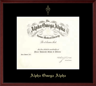 Alpha Omega Alpha Honor Society certificate frame - Single Matted Embossed Frame in Camby