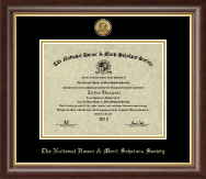 National Honor & Merit Scholars Society Gold Engraved Medallion Certificate Frame in Hampshire