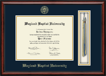 Wayland Baptist University diploma frame - Tassel Edition Diploma Frame in Southport