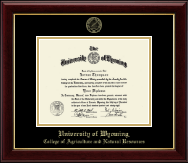 University of Wyoming diploma frame - Gold Embossed Diploma Frame in Gallery