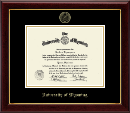 Gold Embossed Diploma Frame