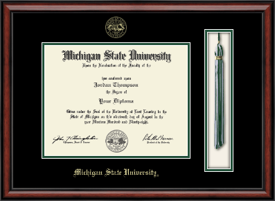Michigan State University diploma frame - Tassel & Cord Diploma Frame in Southport