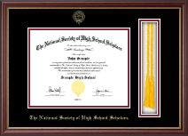 The National Society of High School Scholars Cords Edition Certificate Frame in Newport