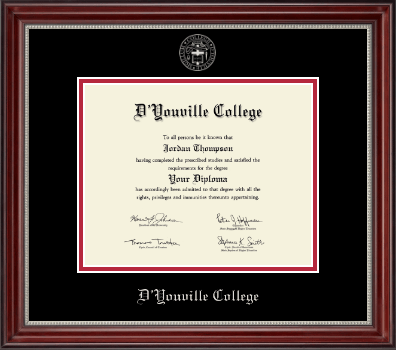 D'Youville College diploma frame - Silver Embossed Diploma Frame in Kensington Silver