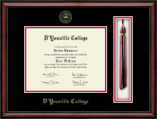 D'Youville College diploma frame - Tassel Edition Diploma Frame in Southport