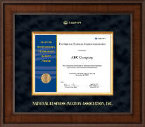 National Business Aviation Association Presidential Edition Certificate Frame in Madison