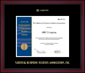 National Business Aviation Association Gold Embossed Achievement Edition Certificate Frame in Academy