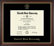 Norfolk State University Gold Embossed Diploma Frame in Studio Gold
