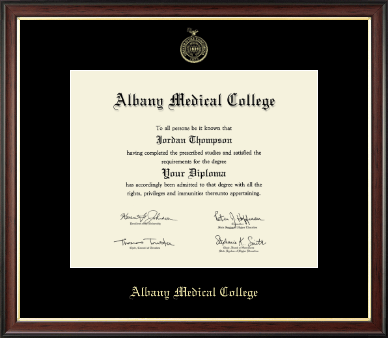 Albany Medical College diploma frame - Gold Embossed Diploma Frame in Studio Gold