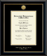 Universidad Interamericana de Puerto Rico diploma frame - Gold Engraved Medallion Diploma Frame in Onyx Gold