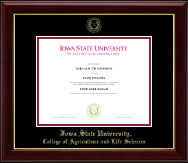Iowa State University Gold Embossed Diploma Frame in Gallery