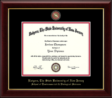 Rutgers University diploma frame - Masterpiece Medallion Diploma Frame in Gallery