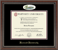 Harvard University Campus Cameo Diploma Frame in Chateau