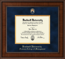Bucknell University Presidential Masterpiece Diploma Frame in Madison