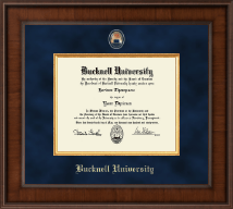 Bucknell University Presidential Masterpiece Diploma Frame in Madison