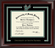 University of South Florida Spirit Medallion Diploma Frame in Encore