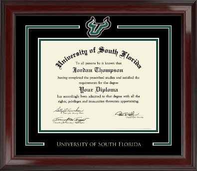 University of South Florida diploma frame - Spirit Medallion Diploma Frame in Encore