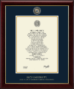 Rice University Masterpiece Medallion Diploma Frame in Gallery