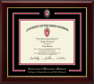 University of Wisconsin Madison diploma frame - Spirit Shield Curriculum Edition Diploma Frame in Gallery