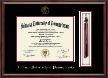 Indiana University of Pennsylvania Tassel Edition Diploma Frame in Southport