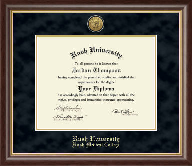 Rush University diploma frame - Gold Engraved Medallion Diploma Frame in Hampshire