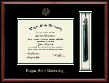 Wayne State University Tassel Edition Diploma Frame in Southport