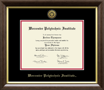 Worcester Polytechnic Institute diploma frame - Gold Engraved Medallion Diploma Frame in Hampshire
