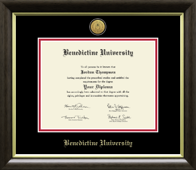 Benedictine University diploma frame - Gold Engraved Medallion Diploma Frame in Hampshire