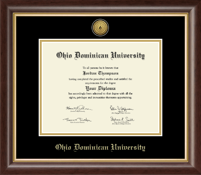 Ohio Dominican University diploma frame - Gold Engraved Medallion Diploma Frame in Hampshire