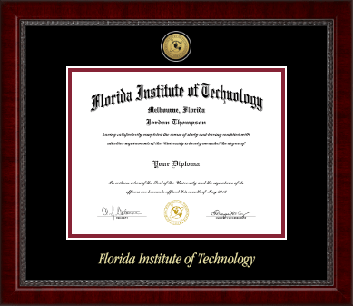 Florida Institute of Technology diploma frame - Gold Engraved Medallion Diploma Frame in Sutton
