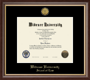 Widener University School of Law Gold Engraved Medallion Diploma Frame in Hampshire