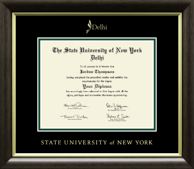 State University of New York Delhi diploma frame - Gold Embossed Diploma Frame in Hampshire