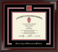 University of Wisconsin Madison Spirit W Band Logo Medallion Diploma Frame in Encore