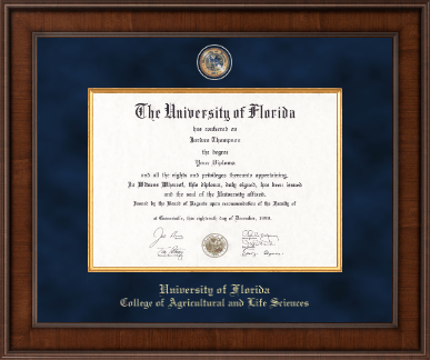 University of Florida diploma frame - Presidential Masterpiece Diploma Frame in Madison