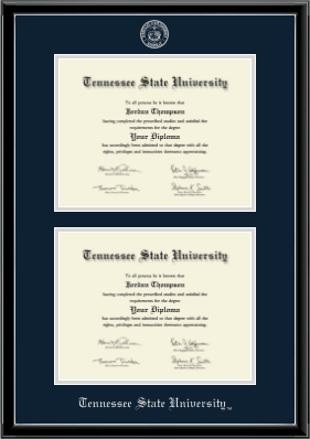 Tennessee State University diploma frame - Double Document Diploma Frame in Onexa Silver