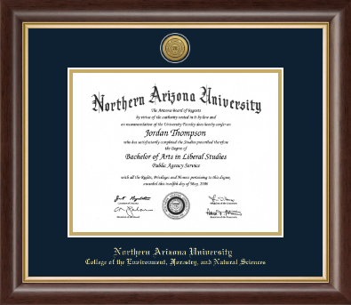 Northern Arizona University diploma frame - Gold Engraved Medallion Diploma Frame in Hampshire