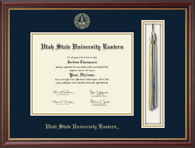 Utah State University Eastern diploma frame - Tassel & Cord Diploma Frame in Newport